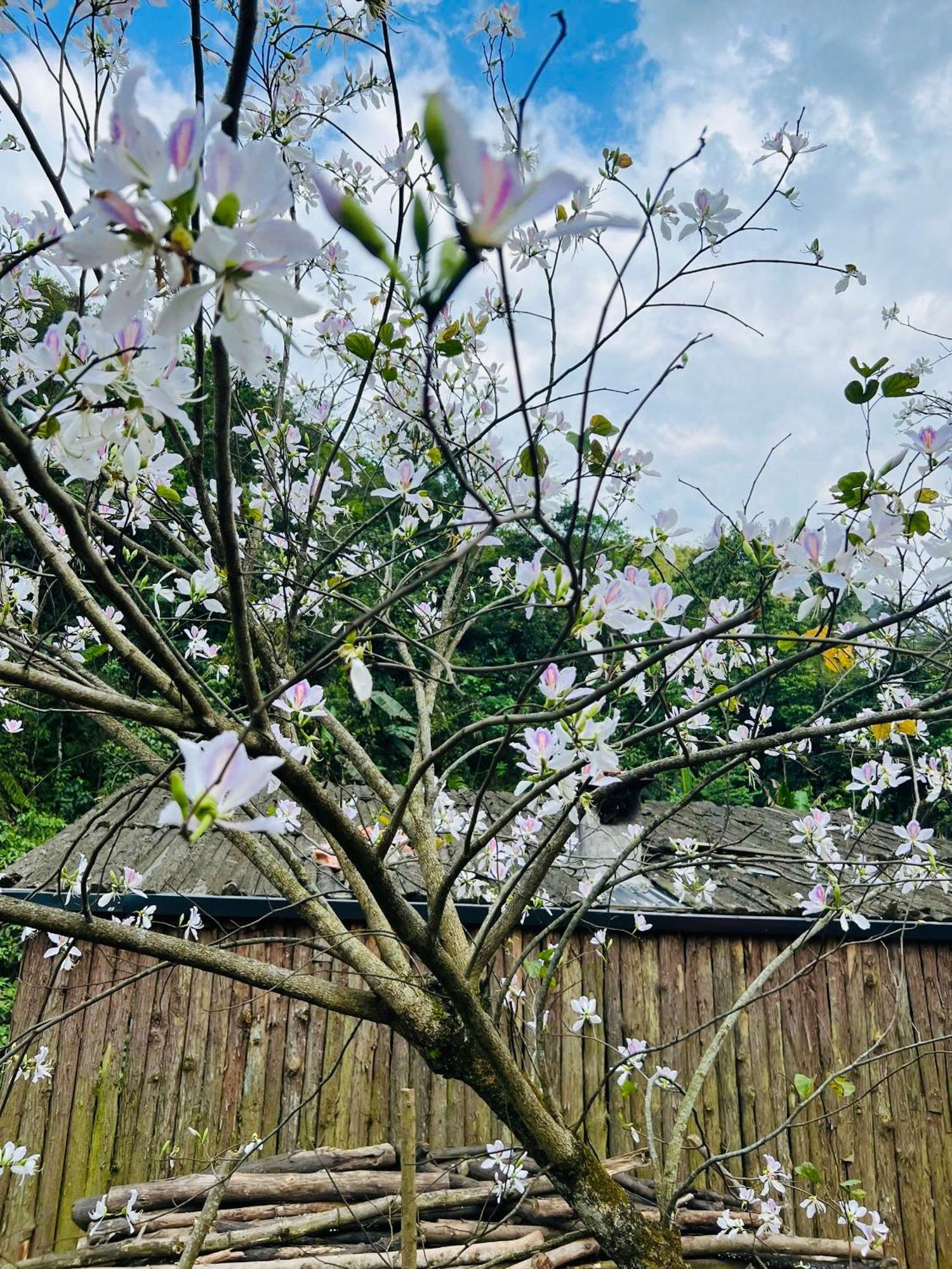 Ngu Chi Son Trekking Sapa Homestay Local Experience 외부 사진